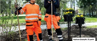 Fotbolls-EM: Storbildsskärm i Stadsparken