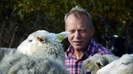 Det är lätt att bli fäst vid fåren. Men som fåraherde vet Harry Esberg att fåren ska ge kött ull och gödsel och på så vis generera pengar till projektet.