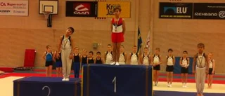 Fina framgångar för gymnasterna från Norrbotten
