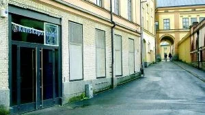 I topp - Kunskapsskolan. Här var bara tre procent av niorna underkända i något av de tre ämnena.
FOTO: SUSANNE LUNDBÄCK