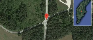 Fallna träd skapar problem i trafiken på väg 534