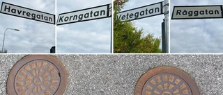 De tar över samfällighetens anläggningar i Vadstena