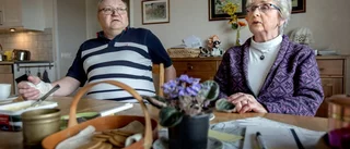 Vindkraft ger tillväxt i Lillpite