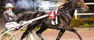 Makethemark kvalade in till Breeders-semi