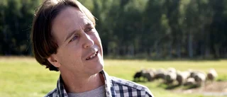 Monsterorkan över Piteås vänort