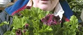 <I>En ny bok:</I>
Goda erfarenheter i bok om ätstörningar