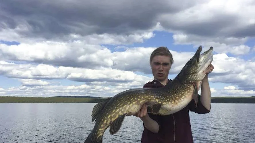 Storfiskaren Jonathan Salomonsson håller upp bjässegäddan på 14 kilo. Jonathan kommer från Sundsnäs utanför Gråträsk, och kusinen Joel, som också var med i båten, är hemmahörande i Långträsk.