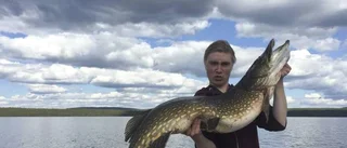 Dramatisk kamp med gädda på 14 kilo