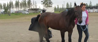 Sjulsmarks hopp i V75