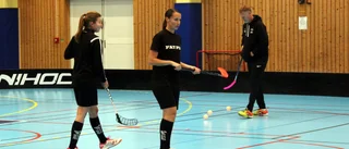 Flera meriterade värvningar – WIBK siktar mot toppen