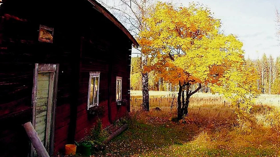 Foto: Gunnar Eriksson