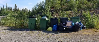 Det stinker av sopor
