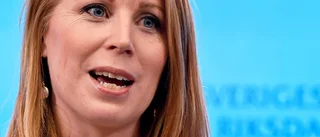 Hur har sonderingen gått för Lööf?