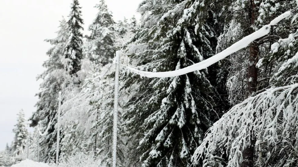Den tunga snön som fallit orsakar strömavbrott i en stor del av Piteå kommun. (Arkivbild)