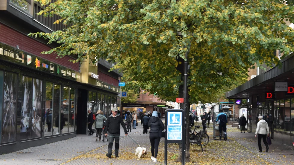 "Sammanfattningsvis menar jag alltså inte att majoriteten har fel när de säger att det går bra för Skellefteå. Det går på många sätt väldigt bra. Men..."