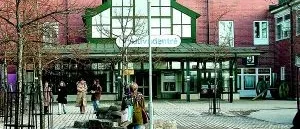 Striden om Vrinnevi