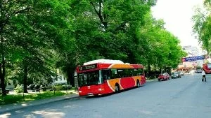 Någon gång under nästa år kan bygget av den nya bussterminalen vid Söder Tull påbörjas. Tre-fyra träd kommer att offras, betydligt färre  än i det ursprungliga förslaget där det talades om 16-17 träd.
Foto: Niclas Sandberg