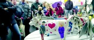 Små kor mjölkades på pengar till Bris
