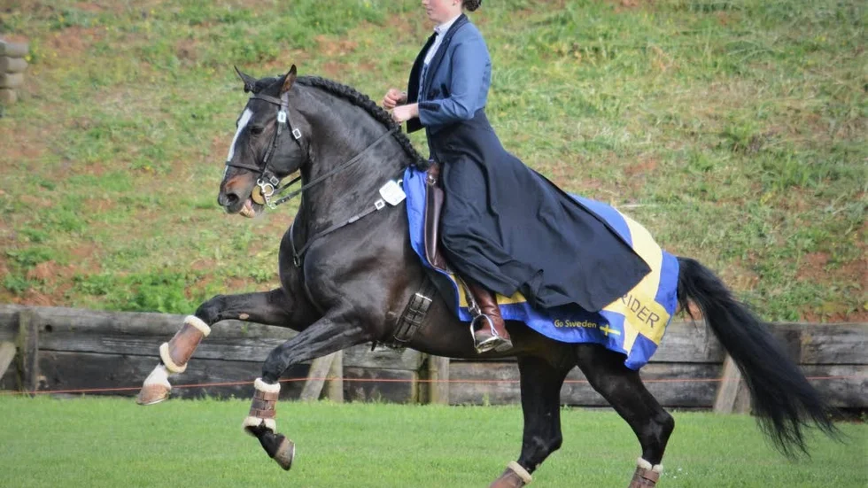 Piteåtjejen Astrid Hedman är en av tre svenska ryttare som får chansen på VM i Working Equitation.