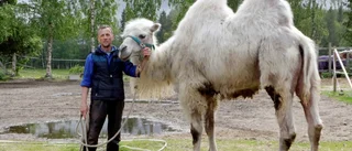 Blåsmark – en by med gemenskap