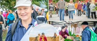 Skördefestivalen satte nytt publikrekord • Så många besökte Roma i helgen • Projektledaren: "Härlig stämning"