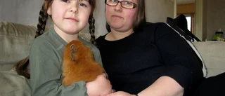 Besviken familj överväger flytt