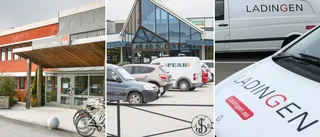 LISTA: Bolagen som gör störst vinst