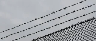 Anläggningen måste "trädsäkras"
