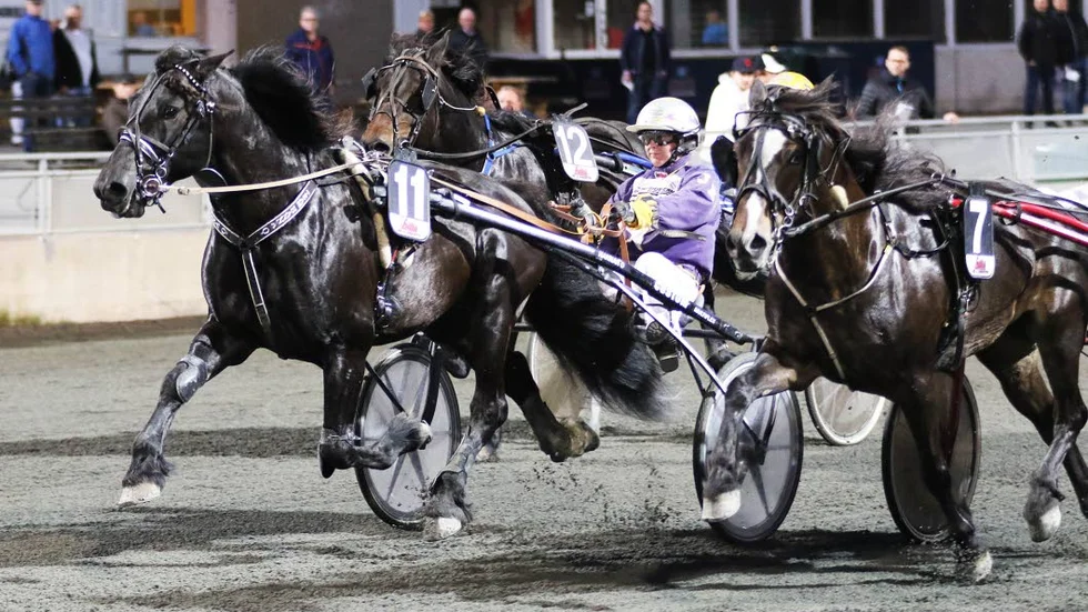 Vinnare. Starelv Odin vann V5-2 och gav Jenny Engfors kvällens andra seger.