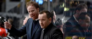 "Bulan" tar över Brynäs