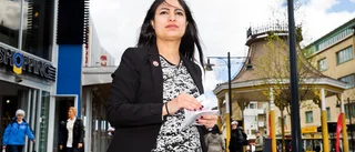 Vänstertopp ska ta Lulebofrågan ända till regeringen
