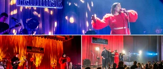 Molly Hammar får tidningens recensent att börja gråta