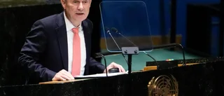 Tre länder får åter rösta i FN