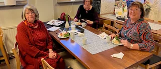 Aktivt verksamhetsår för KD Piteå