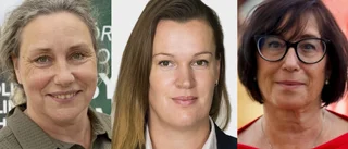Behovet av gemensam frontfigur splittrar oppositionen: "Är inte bekväm med SD som oppositionsråd"