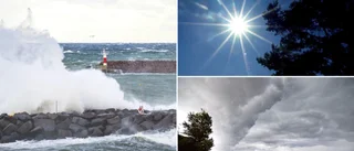 Plusgrader och blåst året ut • Meteorologen: ”En riktigt mild avslutning på året”
