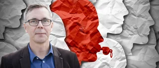 Visselblåsarfunktion försvann i höstas trots lagkrav – Söderberg (S): "Jag har inte själv hunnit gå in och titta om den finns"