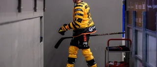 Skellefteåstjärnan stängs av – missar norrderbyt mot Luleå Hockey