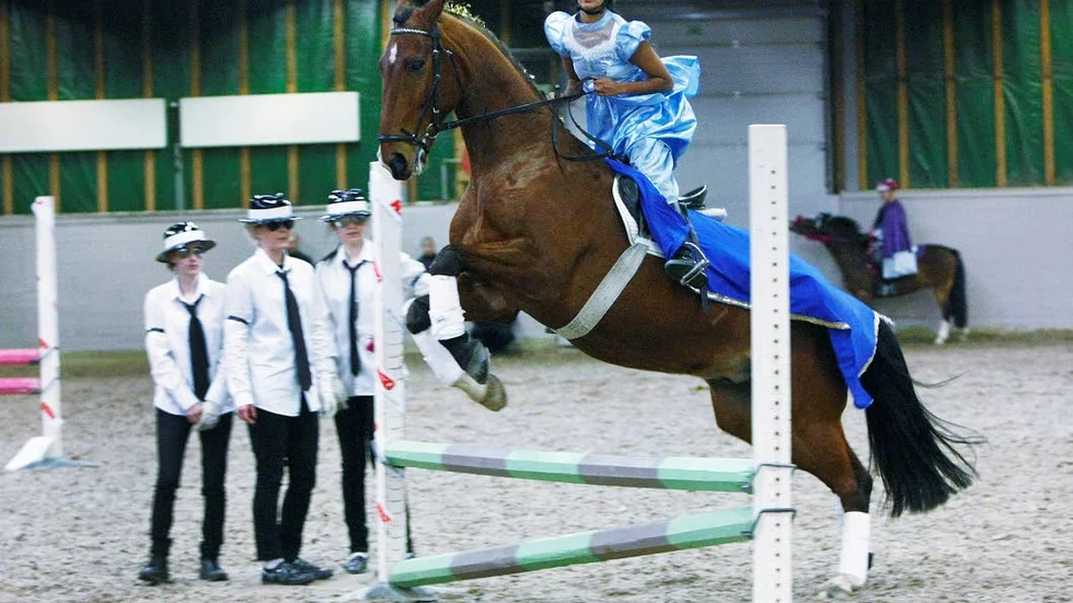 NSD dagen. Bild från Luleå ridklubbs NSD-dag från 2009.