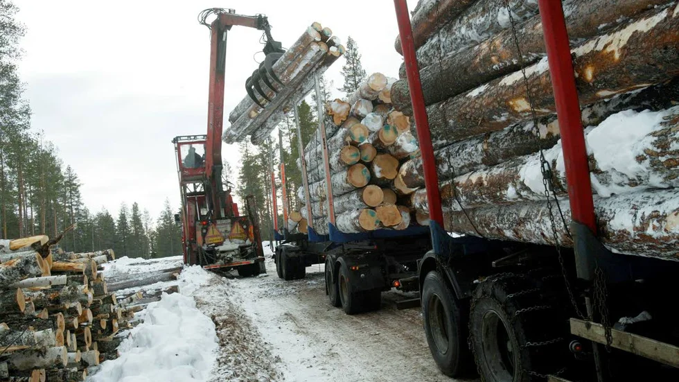 TIMMER PÅ VÄG. Skogsbruket i inlandet är en av de stora förlorarna om förslaget på kilometerskatt blir verklighet.