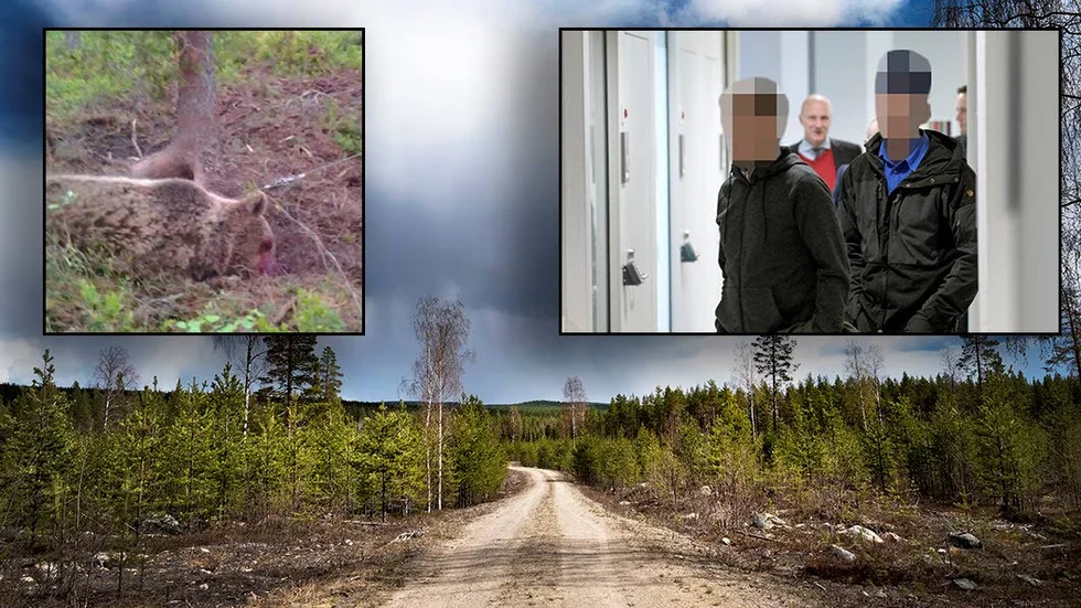 Renskötare. Signatur Burken upprörs över jaktbrott bland renskötare. Bilder från Jakthärvan som nyligen varit uppe i rätten.