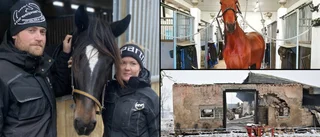 Sandras och Timmys stall brann ner till grunden – vägrar ge upp drömmen: Hästarna går före huset