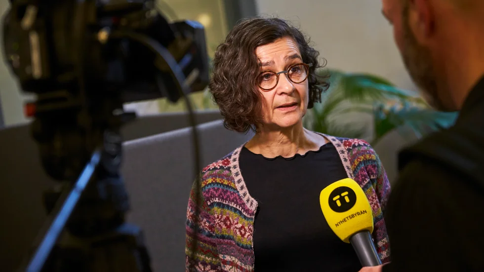 Anneli Bergholm Söder, Länsråd på Gotland