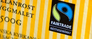 Styrgruppen behövs för arbetet med hållbarhet