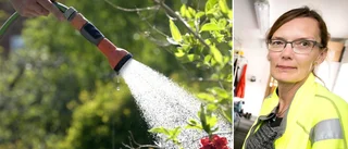 Gott om vatten – då införs förbudet senare än vanligt