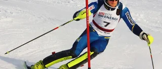 Stålnackes styrkebesked
