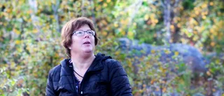 Björnar nära bebyggelse