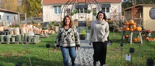 Sa upp sig och hyrde villa – startade blombutik med diversehandel • ”Skönt att slippa jobba i köpcenter"