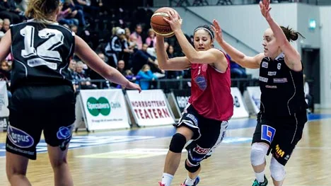 Northland Basket-Mark  Cleopatra Forsman Goga