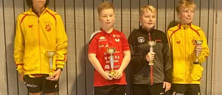 Västerspelare östsvensk mästare: Flera medaljer till Ellermann